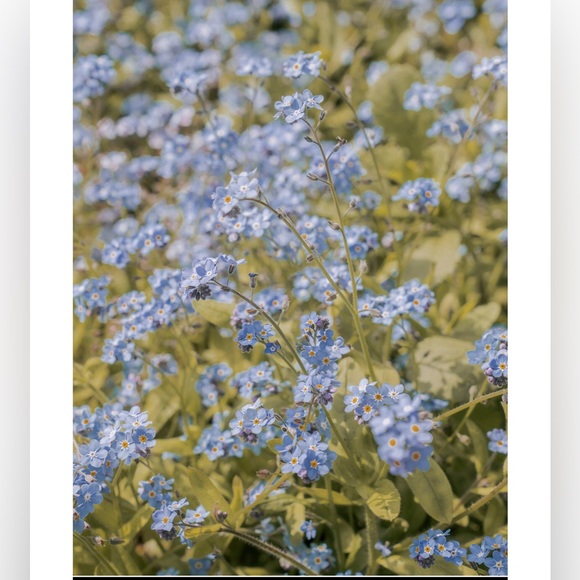 Happy Poshing - Picture 8 of 14